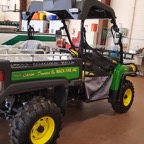 gator3.jpg