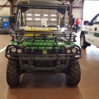 gator4.jpg