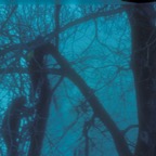 MFI0071.jpg